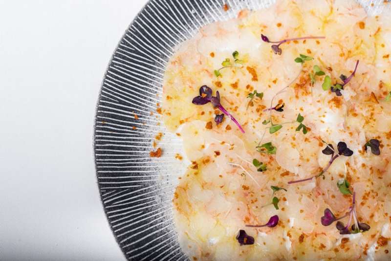 carpaccio de vierias